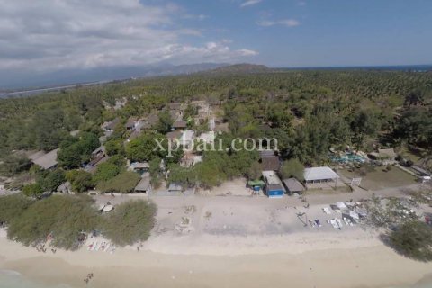 Земельный участок 8246м2 в Gili Trawangan, Гили-Индах, Северный Ломбок, Индонезия № 7862 3