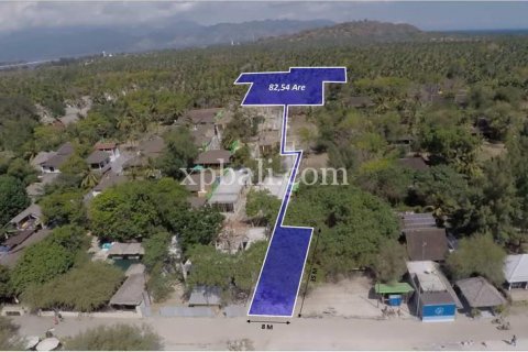 8246m2 Land in Gili Trawangan, Gili Indah, North Lombok, Indonesia No. 7862