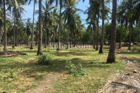 Земельный участок 8246м2 в Gili Trawangan, Гили-Индах, Северный Ломбок, Индонезия № 7862 5