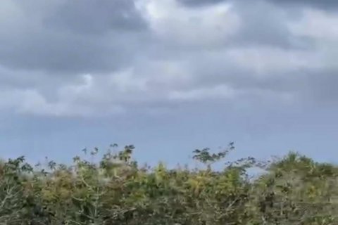 Земельный участок 14356м2 в Южная Кута, Бадунг, Индонезия № 7756 8