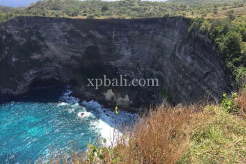 Земельный участок 24760м2 в Nusa Penida, Клунгкунг, Индонезия № 408 2