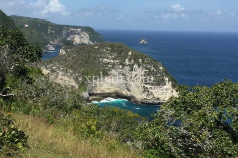24760m2 Land in Nusa Penida, Klungkung, Indonesia No. 408