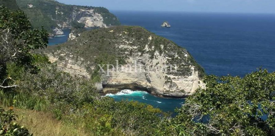 Земельный участок 24760м2 в Nusa Penida, Клунгкунг, Индонезия № 408