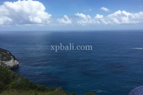 Земельный участок 24760м2 в Nusa Penida, Клунгкунг, Индонезия № 408 3