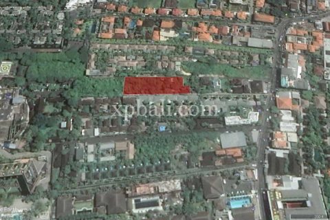 1000m2 Land in Seminyak, Badung, Indonesia No. 411