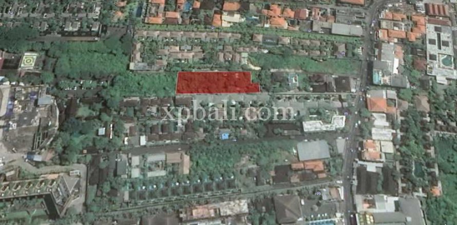 1000m2 Land in Seminyak, Badung, Indonesia No. 411
