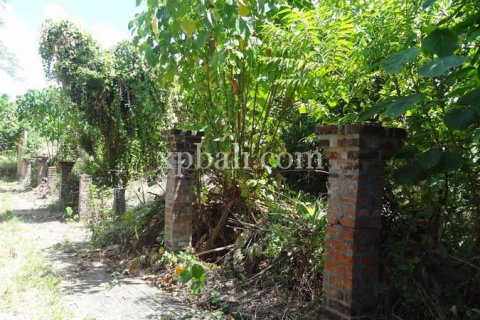 1000m2 Land in Seminyak, Badung, Indonesia No. 411 6