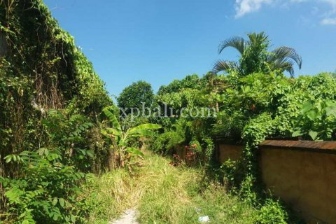 1000m2 Land in Seminyak, Badung, Indonesia No. 411 8