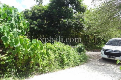 1000m2 Land in Seminyak, Badung, Indonesia No. 411 5