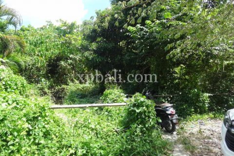 1000m2 Land in Seminyak, Badung, Indonesia No. 411 4