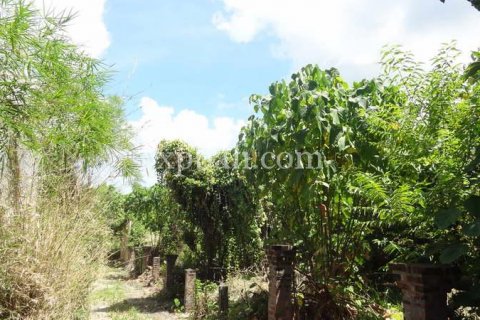 1000m2 Land in Seminyak, Badung, Indonesia No. 411 7