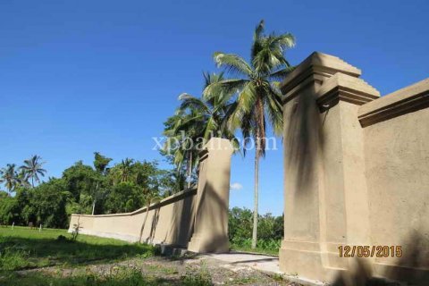 3930m2 Land in Ubud, Gianyar, Indonesia No. 493 13