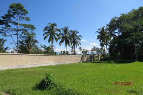 3930m2 Land in Ubud, Gianyar, Indonesia No. 493 15