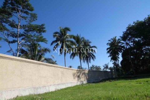3930m2 Land in Ubud, Gianyar, Indonesia No. 493 2