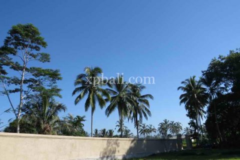 3930m2 Land in Ubud, Gianyar, Indonesia No. 493