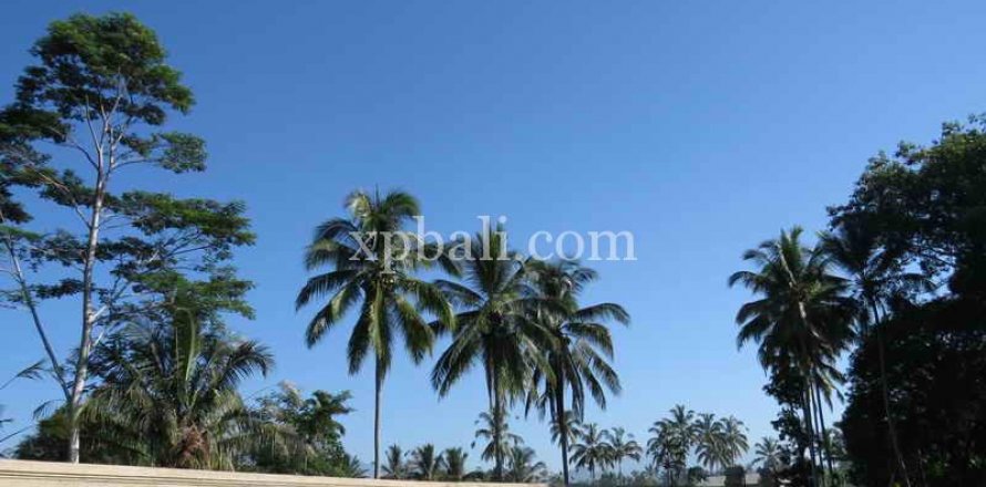 3930m2 Land in Ubud, Gianyar, Indonesia No. 493