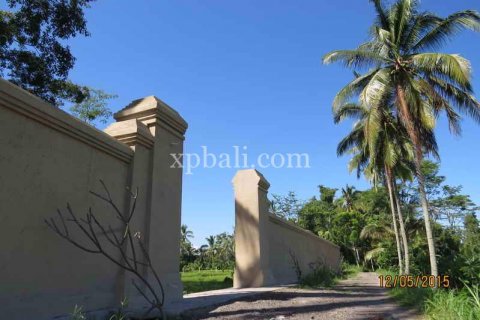 3930m2 Land in Ubud, Gianyar, Indonesia No. 493 14