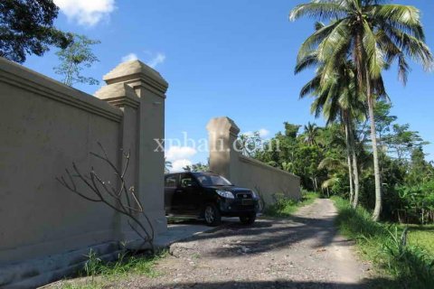 3930m2 Land in Ubud, Gianyar, Indonesia No. 493 6