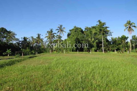 3930m2 Land in Ubud, Gianyar, Indonesia No. 493 4
