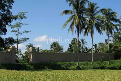 3930m2 Land in Ubud, Gianyar, Indonesia No. 493 9