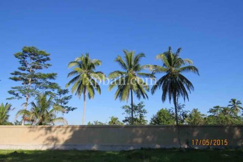 3930m2 Land in Ubud, Gianyar, Indonesia No. 493 3