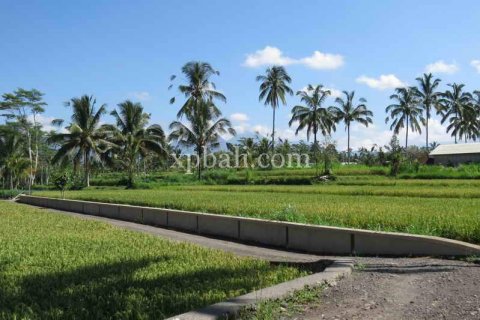 3930m2 Land in Ubud, Gianyar, Indonesia No. 493 8