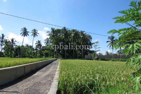 3930m2 Land in Ubud, Gianyar, Indonesia No. 493 11