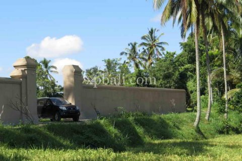 3930m2 Land in Ubud, Gianyar, Indonesia No. 493 7