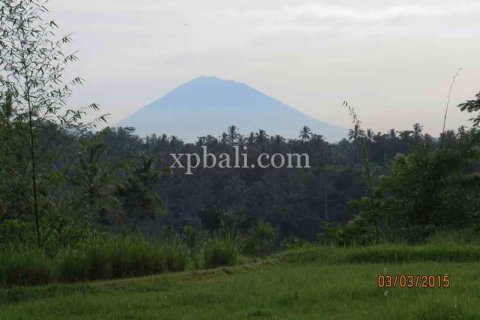 3930m2 Land in Ubud, Gianyar, Indonesia No. 493 17