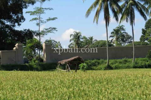 3930m2 Land in Ubud, Gianyar, Indonesia No. 493 12