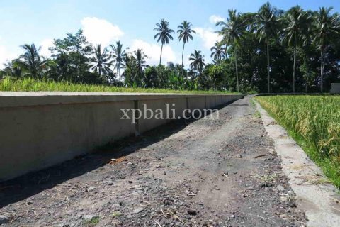 3930m2 Land in Ubud, Gianyar, Indonesia No. 493 10