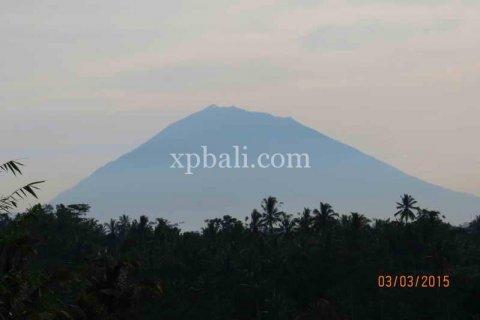 3930m2 Land in Ubud, Gianyar, Indonesia No. 493 16