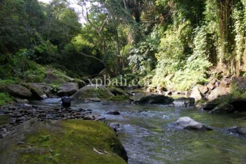 38000m2 Land in Ubud, Gianyar, Indonesia No. 498