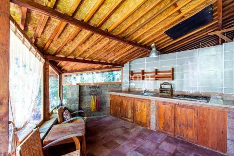 11 bedrooms Villa in Canggu, Badung, Indonesia No. 497 15