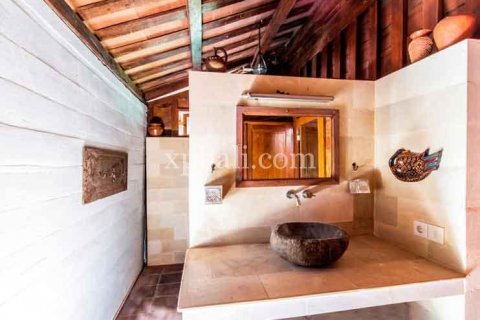 11 bedrooms Villa in Canggu, Badung, Indonesia No. 497 10