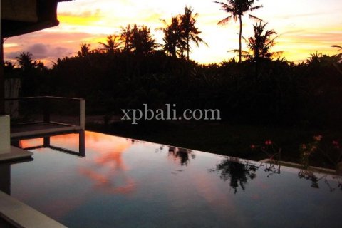 3 bedrooms Villa in Canggu, Badung, Indonesia No. 553