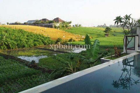 Вилла с 3 спальнями в Canggu, Бадунг, Индонезия № 553 2