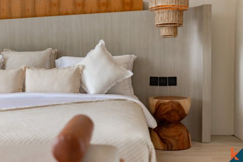 3 bedrooms Villa in Canggu, Badung, Indonesia No. 11494 24
