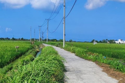 Land in Tabanan, Indonesia No. 11493 3