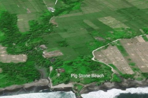 Land in Tabanan, Indonesia No. 11495