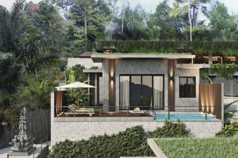 13 bedrooms Villa in Karangasem, Karang Asem, Indonesia No. 11599