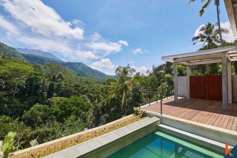 Вилла с 13 спальнями в Karangasem, Карангасем, Индонезия № 11599 14