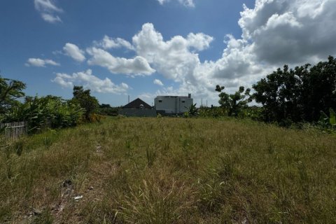 Land in Canggu, Badung, Indonesia No. 11245 2