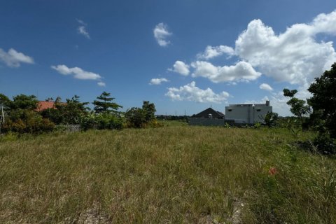 Land in Canggu, Badung, Indonesia No. 11245
