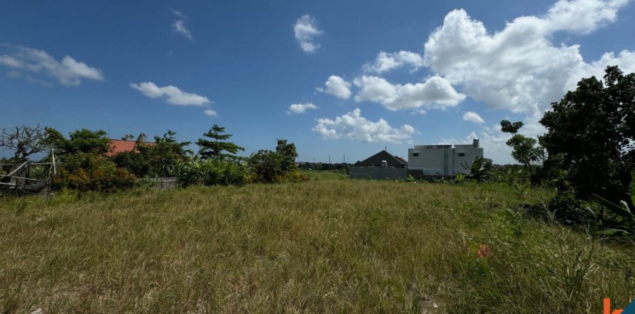 Land in Canggu, Badung, Indonesia No. 11245