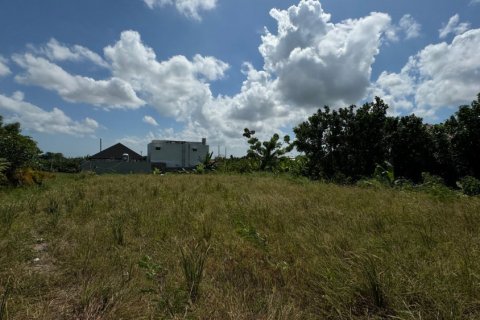 Land in Canggu, Badung, Indonesia No. 11245 3