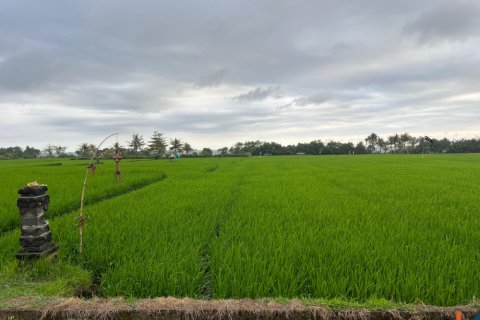 Land in Jembrana, Indonesia No. 11149 4