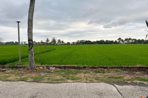 Land in Jembrana, Indonesia No. 11149