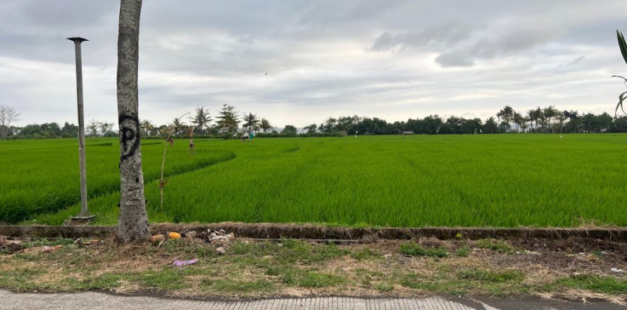 Land in Jembrana, Indonesia No. 11149