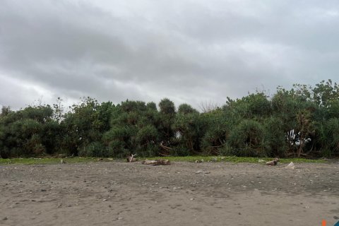Land in Jembrana, Indonesia No. 11149 9